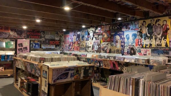 Sig's Lagoon Record Shop by null