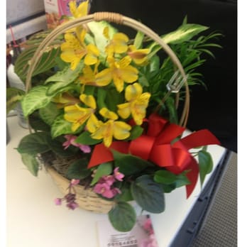 Countryside Florist - Florists Near Me - Sterling, Virginia