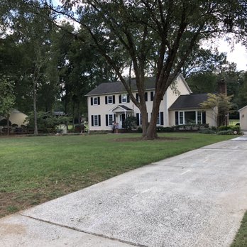 Hard Work Tree Service - River birch - Tree Services Near Me - Knightdale , North Carolina Hard Work Tree Service - River birch - Tree Services Near Me - Knightdale , North Carolina