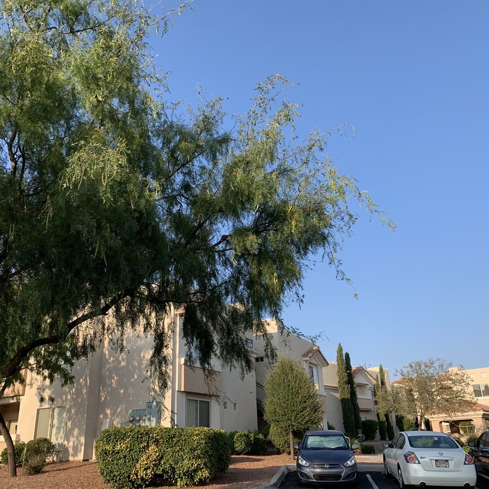 TOP 10 BEST Second Chance Apartments in Las Cruces, NM - Updated 2026 - Yelp