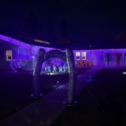 Christmas Light Guys - Halloween Decorations by them!!!