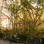 Photo of Jardin Louis Majorelle