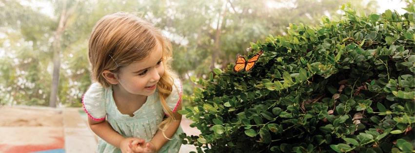 Primrose School of Chelmsford - childcare center in Chelmsford, MA