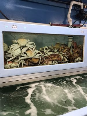 D&K Live Seafood by null