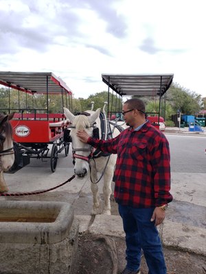 Sea Island Carriage Company by null