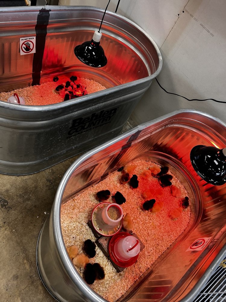 VALLEY PET & SUPPLY Updated October 2024 63 Photos & 14 Reviews