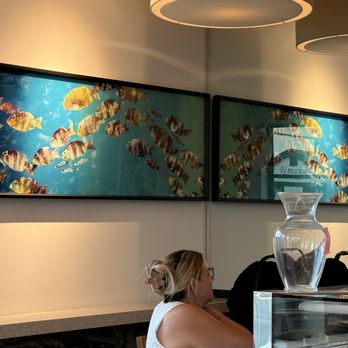 Kai Ola Sushi | Carlsbad - I really liked this wall hanging. - Sushi Bars Near Me - Carlsbad, California Kai Ola Sushi | Carlsbad - I really liked this wall hanging. - Sushi Bars Near Me - Carlsbad, California