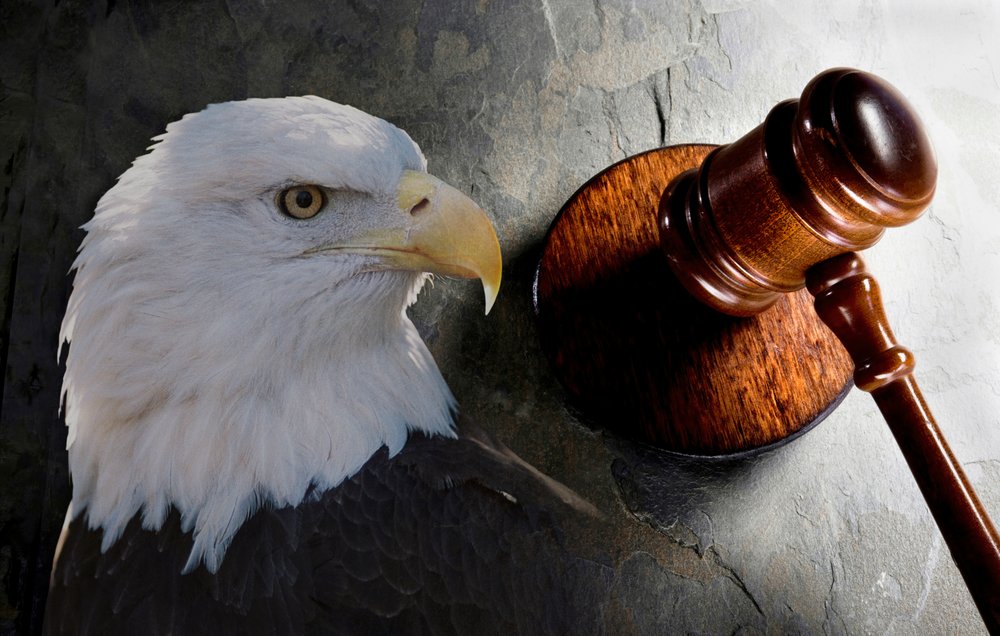 JONES & PATOCK Updated October 2024 516 SW Litchfield Ave, Willmar