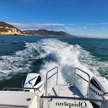 SLO Tours - Boat Tours Near Me - San Luis Obispo, California SLO Tours - Boat Tours Near Me - San Luis Obispo, California