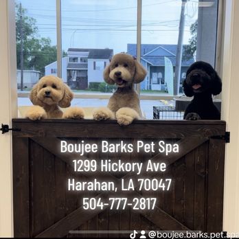 Boujee Barks Pet Spa - Pet Groomers Near Me - Harahan, Louisiana Boujee Barks Pet Spa - Pet Groomers Near Me - Harahan, Louisiana
