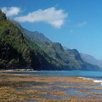 Kalalau Trail - The Na Pali Coast (photo provided courtesy of TRAILSOURCE.COM/HIKING ) - Hiking Near Me - Hanalei, Hawaii Kalalau Trail - The Na Pali Coast (photo provided courtesy of TRAILSOURCE.COM/HIKING ) - Hiking Near Me - Hanalei, Hawaii