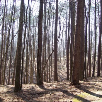 David Crockett State Park - There are supposed to be mountain lions in Lawrenceburg and Middle TN. I hope I never see one, certainly not in the park. - Hiking Near Me - Lawrenceburg, Tennessee