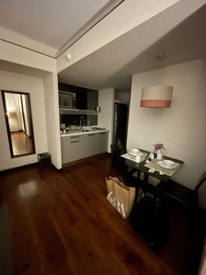 Las Suites Campos Eliseos by null