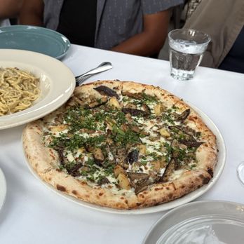 Centonove - Funghi - Italian Near Me - Los Gatos, California