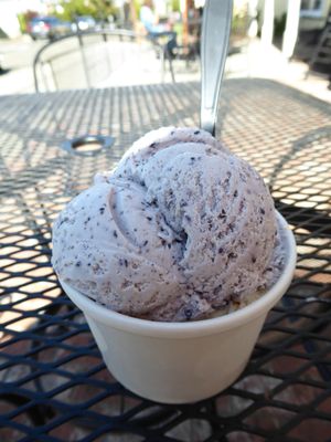 Petaluma Creamery Ice Cream & Cheese Shop by null