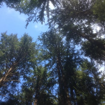Wright's For Camping - Campgrounds Near Me - Cannon Beach, Oregon Wright's For Camping - Campgrounds Near Me - Cannon Beach, Oregon