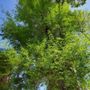 Photo of Johnson's Tree and Landscape LLC