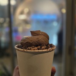 The Scoop N Scootery