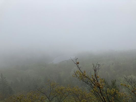 Beehive Trail by null