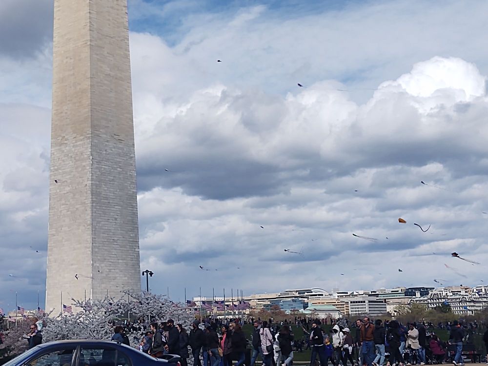 Smithsonian Kite Festival