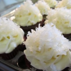 Cupcakeables! - Russel Stover Coconut Creme Cupcakes