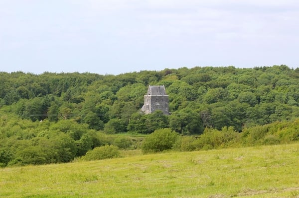 Knappogue Castle by null
