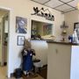 Photo of Avian and Exotic Pet Clinic of Roanoke