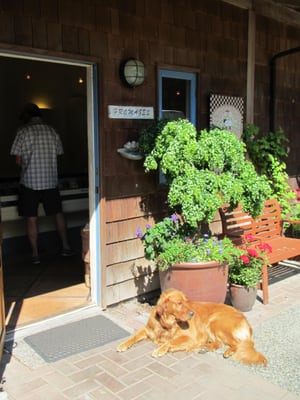 Salt Spring Island Cheese by null