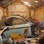 Photo of Junk Monkey