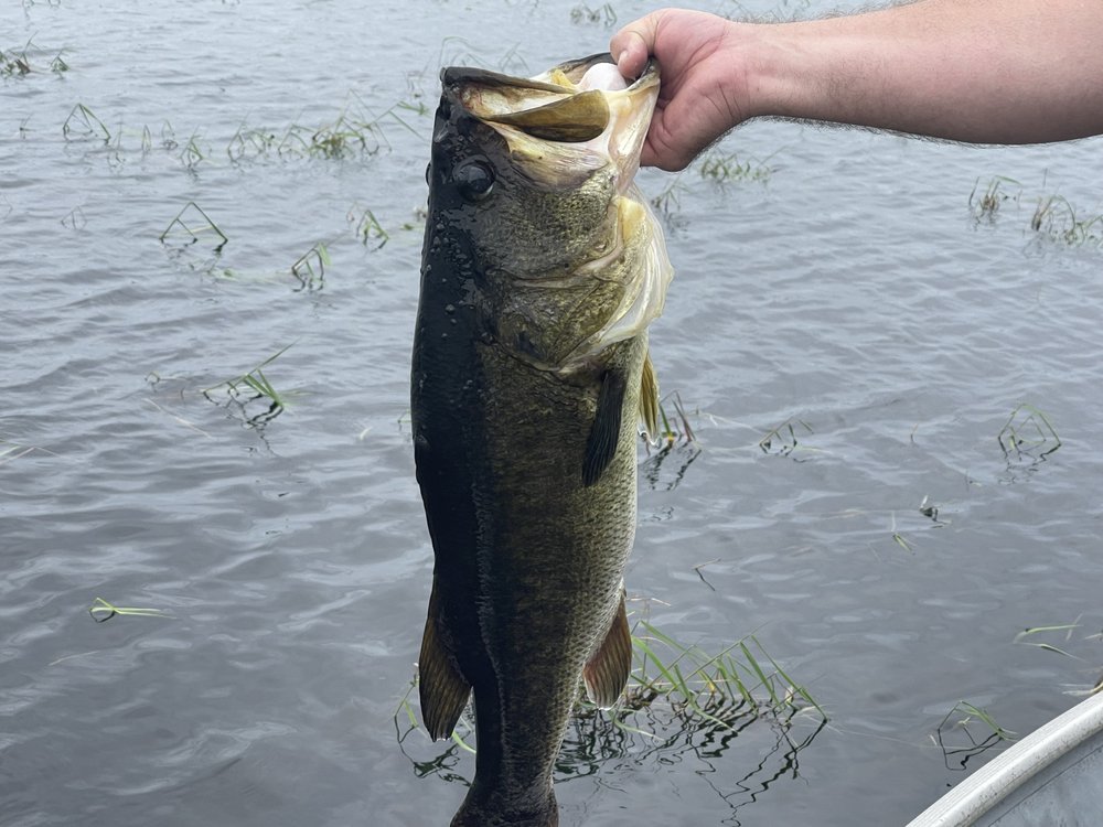 LAKE PASADENA RV PARK & FISH CAMP Updated August 2024 36020 Lake