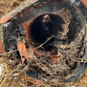 Cisneros Brothers Plumbing - A view of our mainline: damaged by tree roots. - Plumbing Near Me - Hesperia, California Cisneros Brothers Plumbing - A view of our mainline: damaged by tree roots. - Plumbing Near Me - Hesperia, California