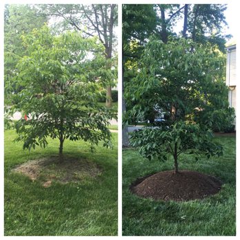 Cassella Design & Build - Landscaping Near Me - Springfield, Virginia Cassella Design & Build - Landscaping Near Me - Springfield, Virginia