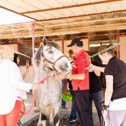 Hunkapi Programs - Equine Therapy