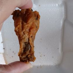 The Crab Hut - Size of wings