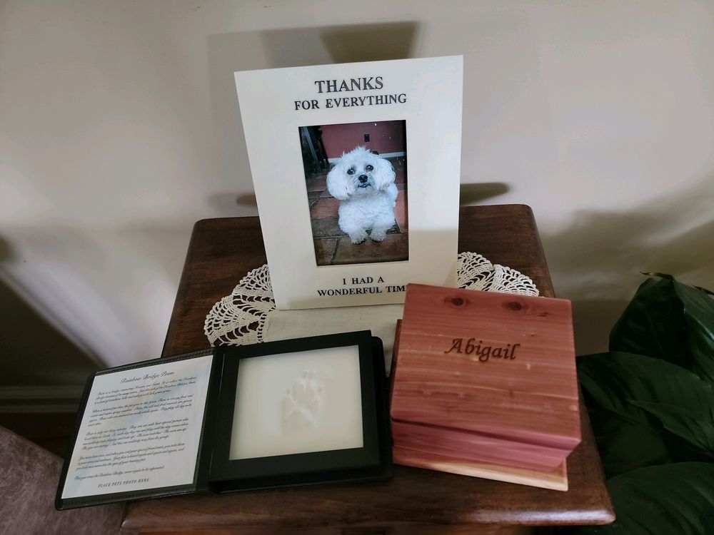 ATLANTIC COAST / NEW YORK VETERINARY CENTER ULTRAVET MOBILE Updated