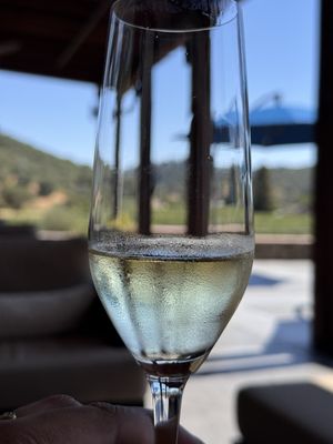 Baldacci Family Vineyards by null