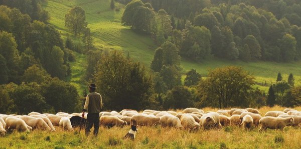 Calvary Chapel of the Finger Lakes