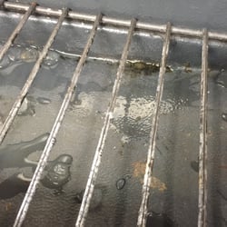 The Rio At Mainland Center - Filthy ice machine with black slime growing in it