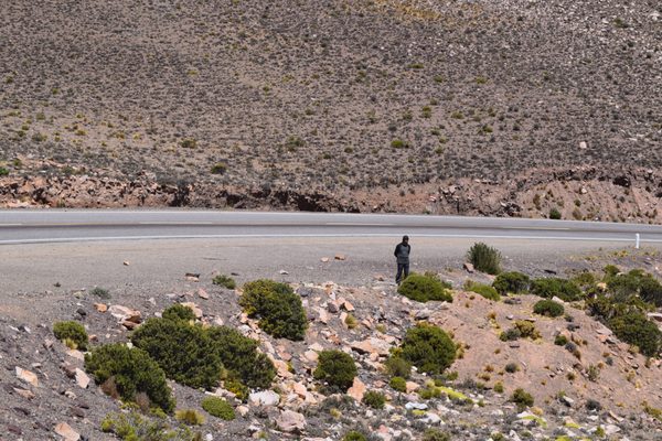 Quebrada de Humahuaca by null