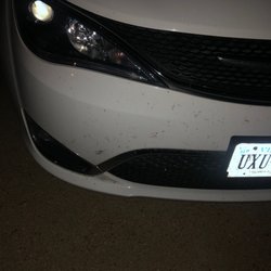 Hertz Rent A Car