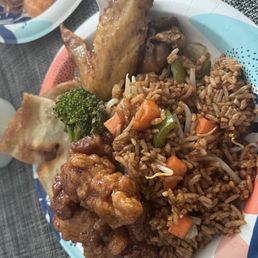 3. General Gau's Chicken, FR5. Vegetable Fried Rice, 13. Spicy Garlic Chicken wings