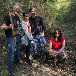 Truffle Hunter