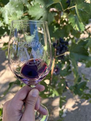 Wiens Cellars by null