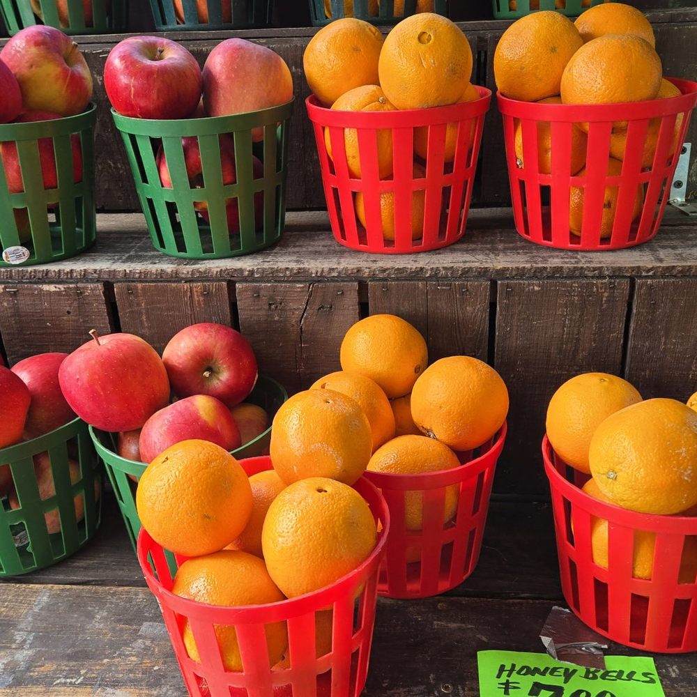 Corbitt's Produce - Apples and Honey Bells (Oranges) in May - Specialty Food Near Me - Orange Park, Florida Corbitt's Produce - Apples and Honey Bells (Oranges) in May - Specialty Food Near Me - Orange Park, Florida