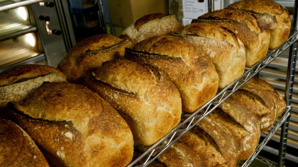 BReD - Organic Sourdough by null
