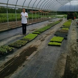 Dinner in the Field - Chef Paige explaining how they grow everything.