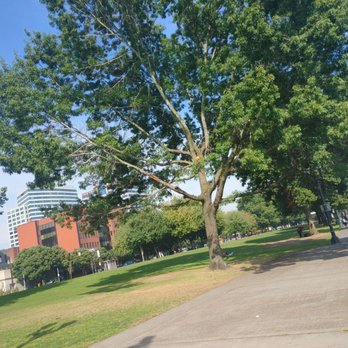 Tom McCall Waterfront Park - Parks Near Me - Portland, Oregon Tom McCall Waterfront Park - Parks Near Me - Portland, Oregon