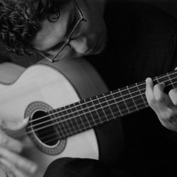 Cordero Flamenco