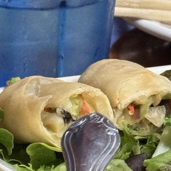Dumpling Capital - Veggie spring rolls - Dim Sum Near Me - Santa Clara, California