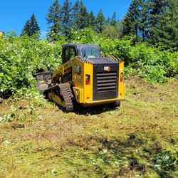 West Coast Land Renewal
